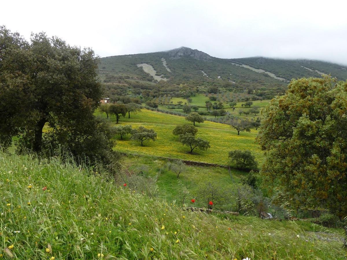 Casa Rural La Colmena Del Geoparque Navatrasierra Ngoại thất bức ảnh