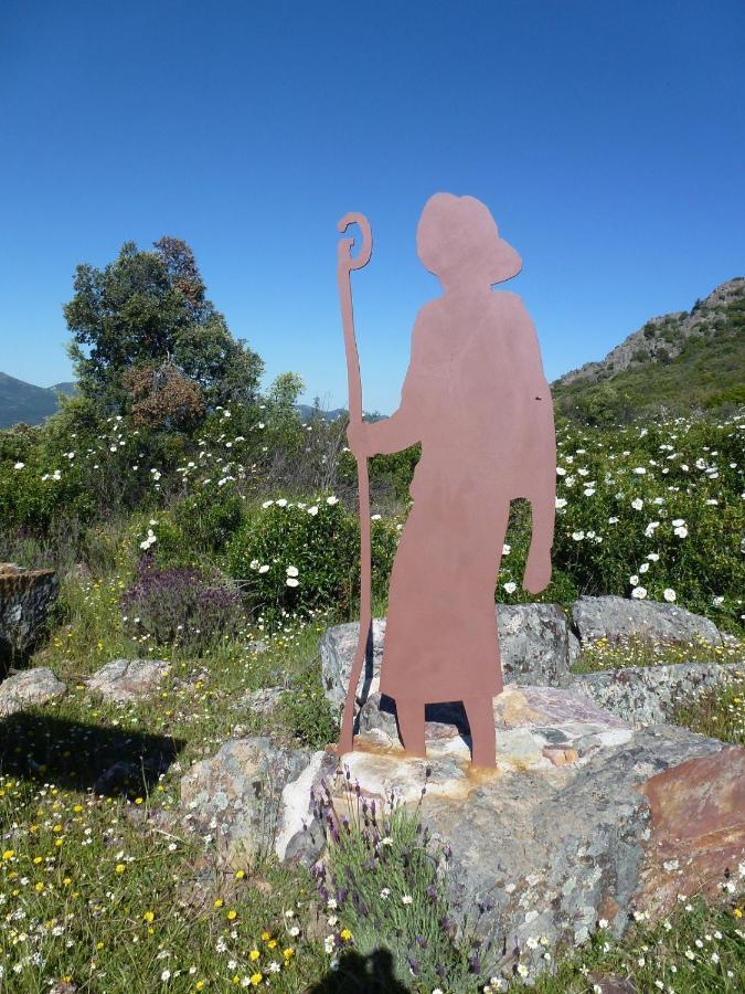 Casa Rural La Colmena Del Geoparque Navatrasierra Ngoại thất bức ảnh