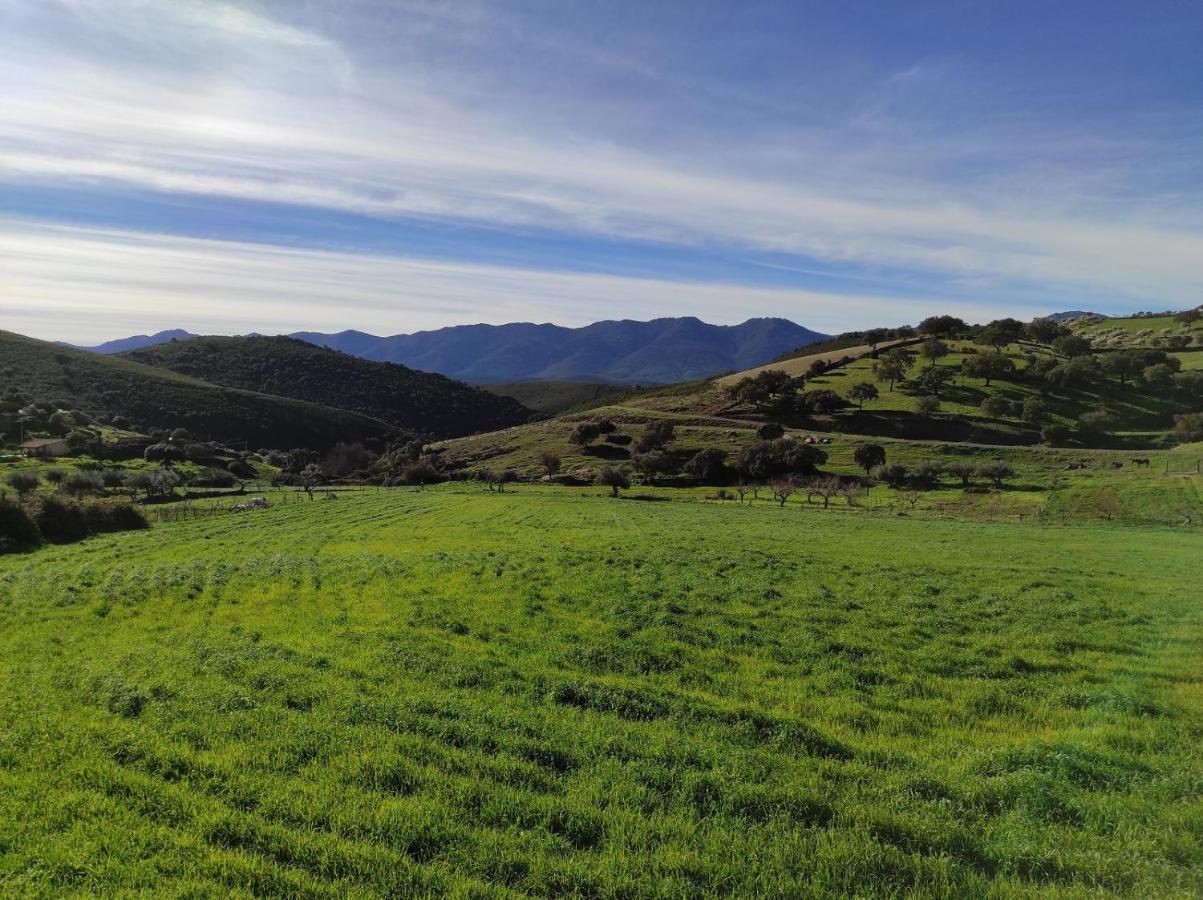Casa Rural La Colmena Del Geoparque Navatrasierra Ngoại thất bức ảnh
